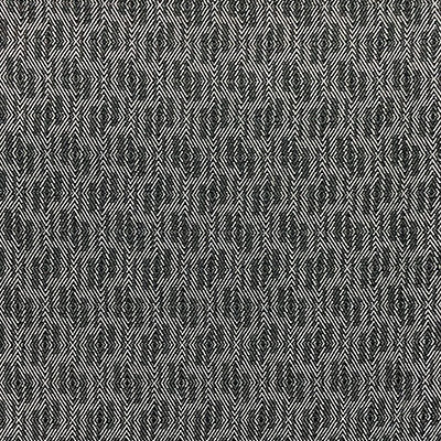 C T D Studio Fabric Design